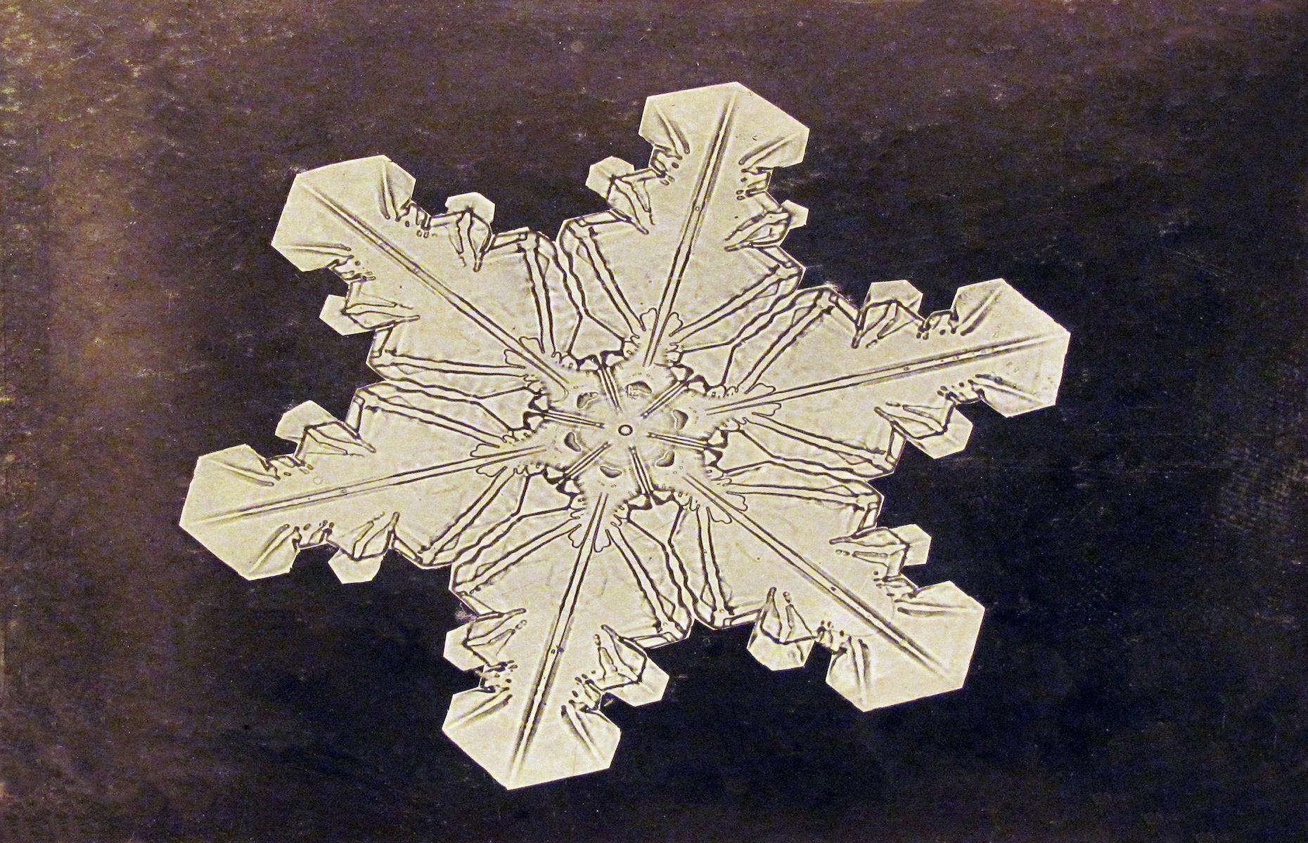 A Vermont farmer unlocked the magic of snowflakes 