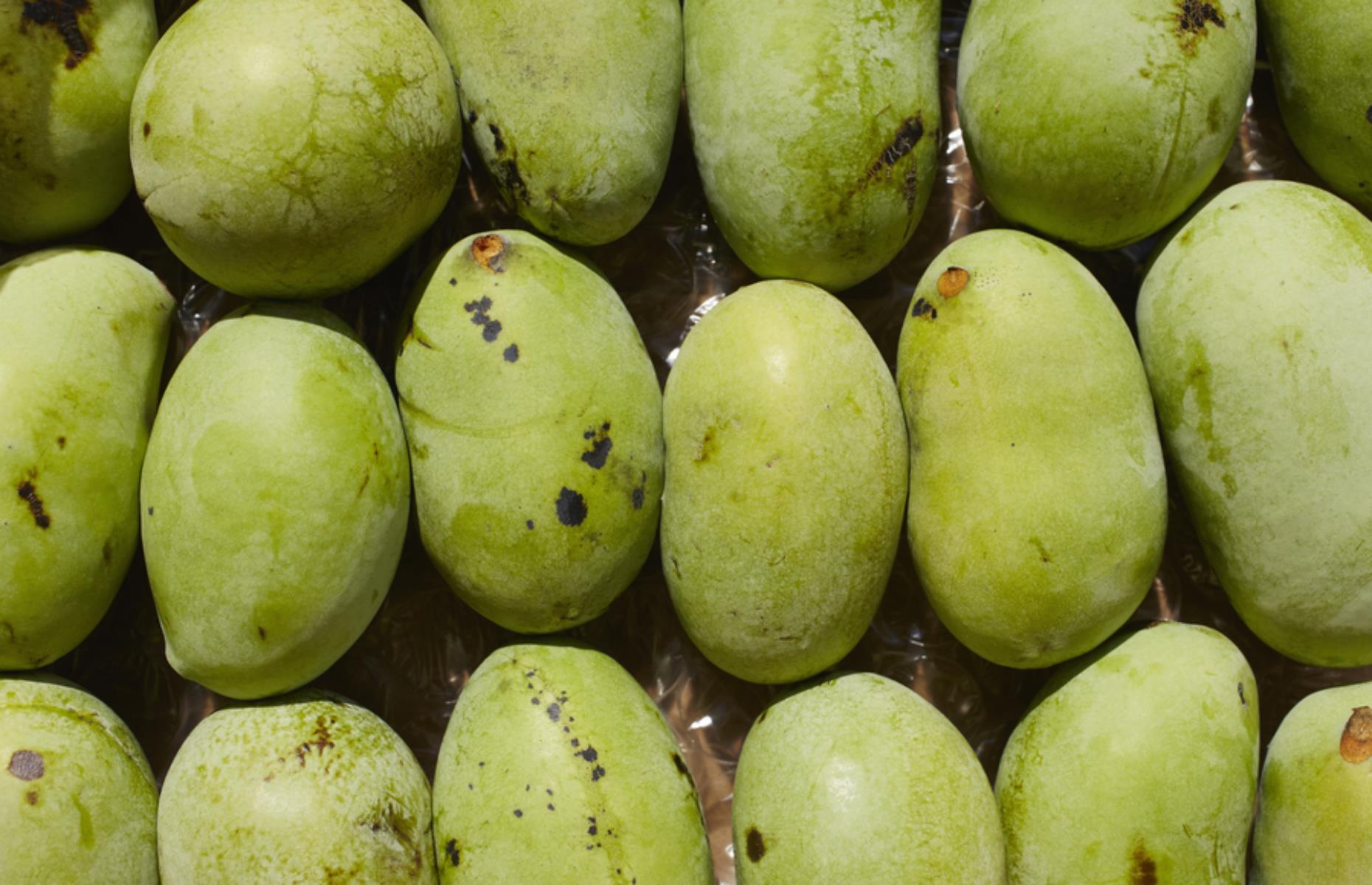 Pawpaw