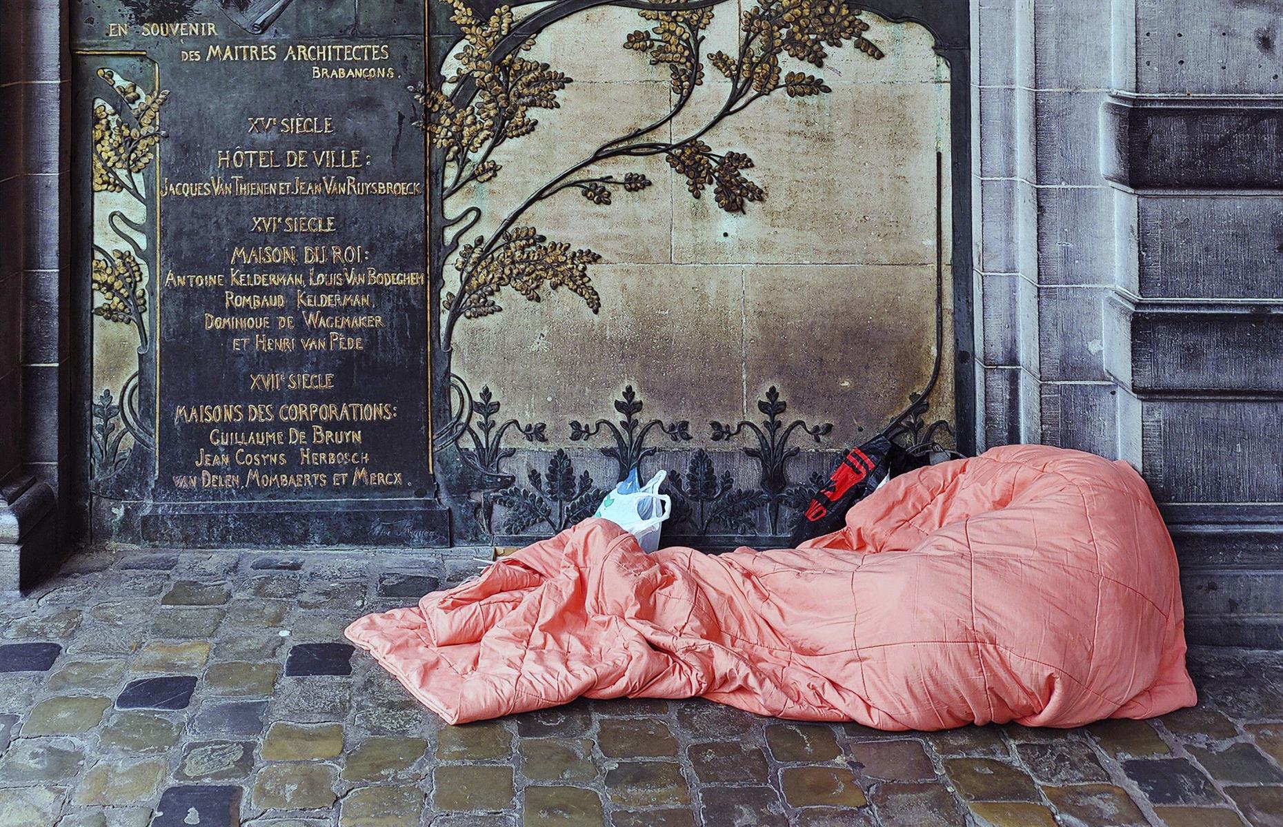 Belgium, Gini income index score: 26.6