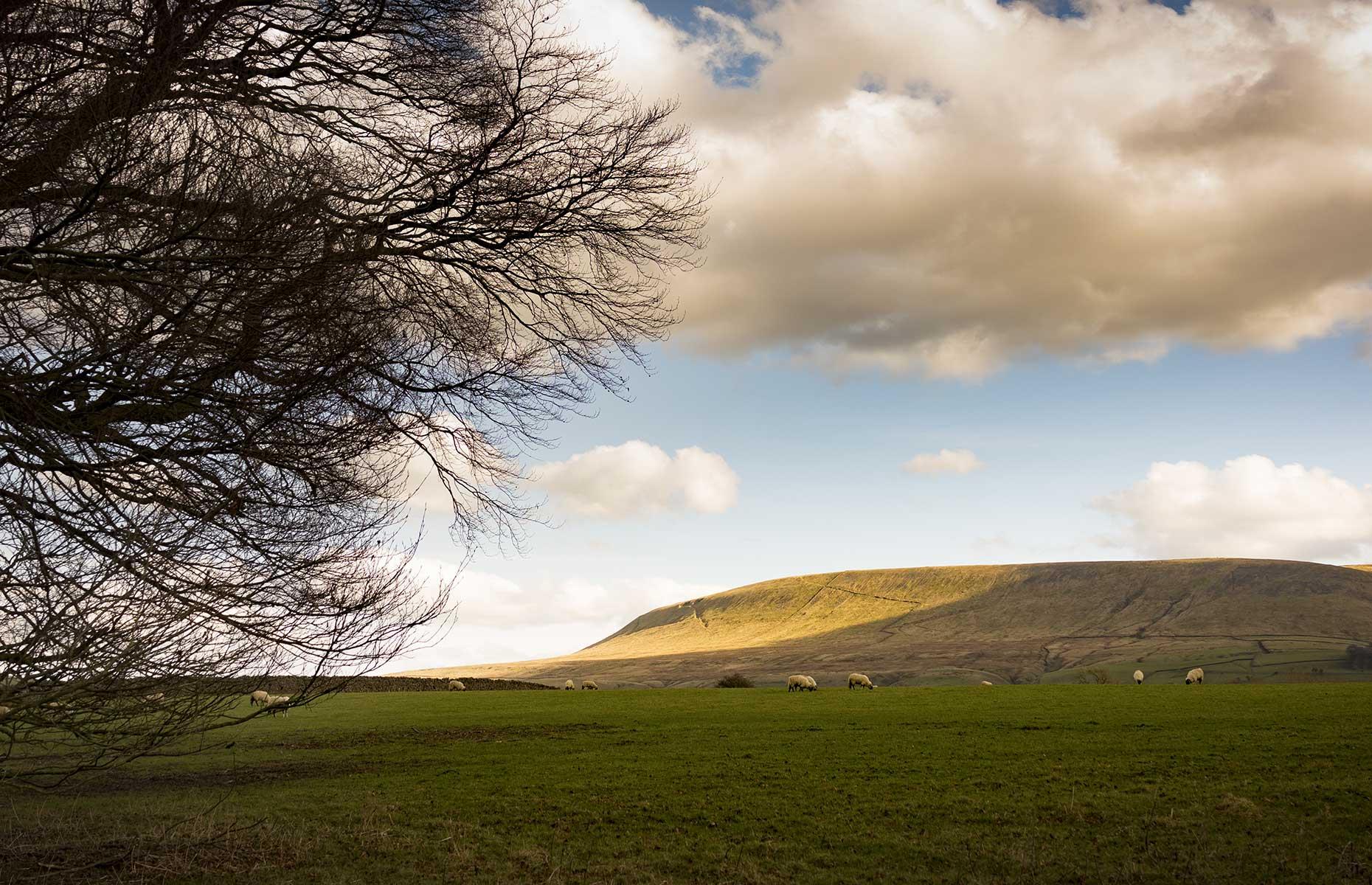 Pendle Witches Walking Trail, Lancashire, England