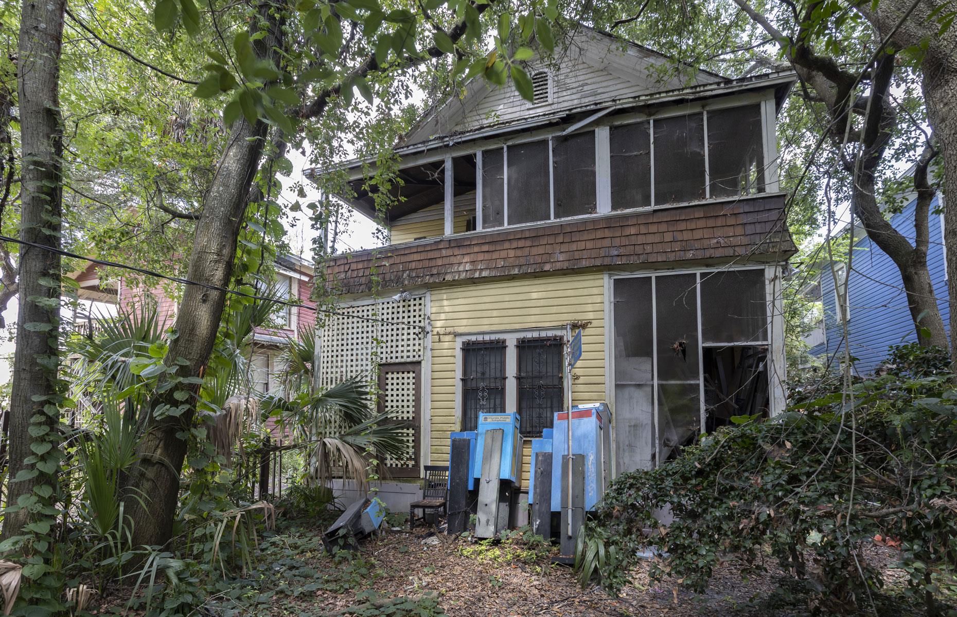 Overgrown backyard 