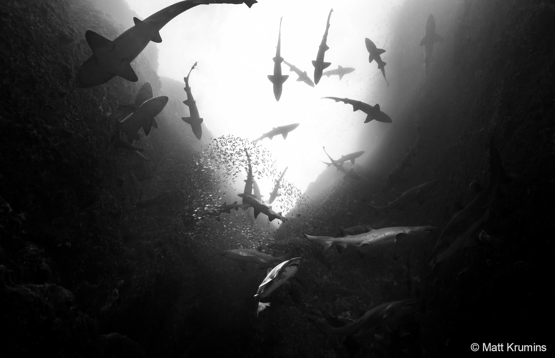 Fish Rock Cave by Matt Krumins 