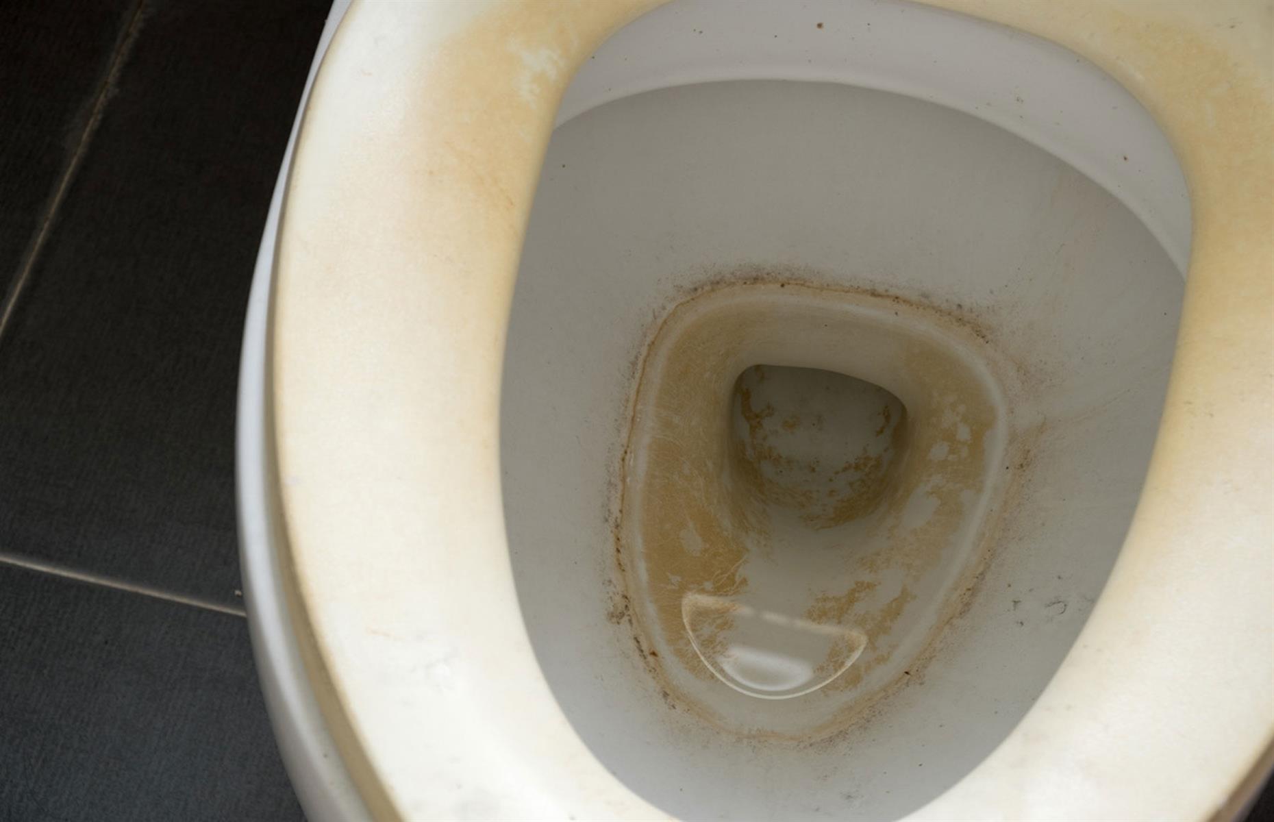 Banish sewer smells