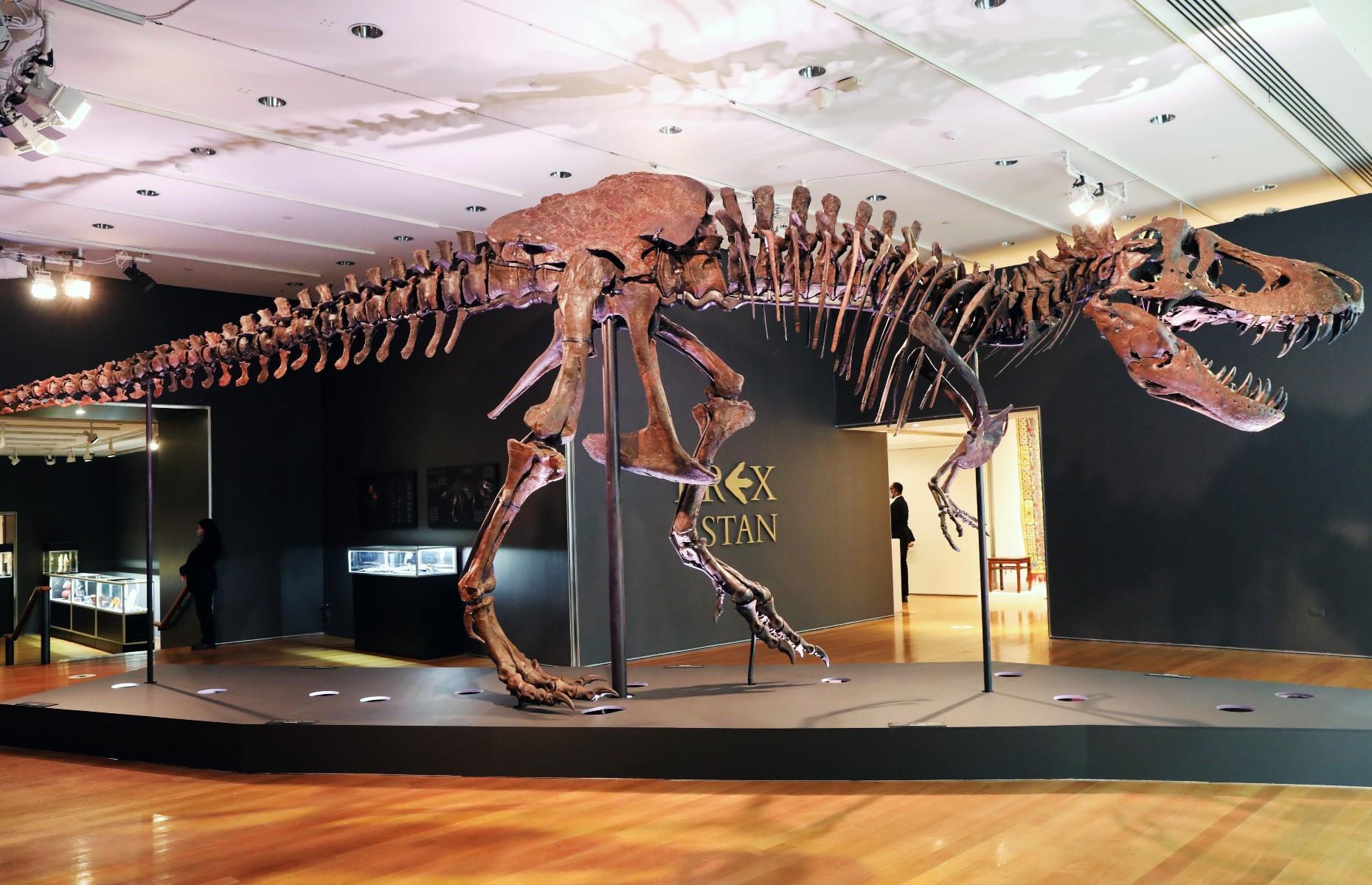 Dinosaur fossil: $31.8 million (£24.5m)