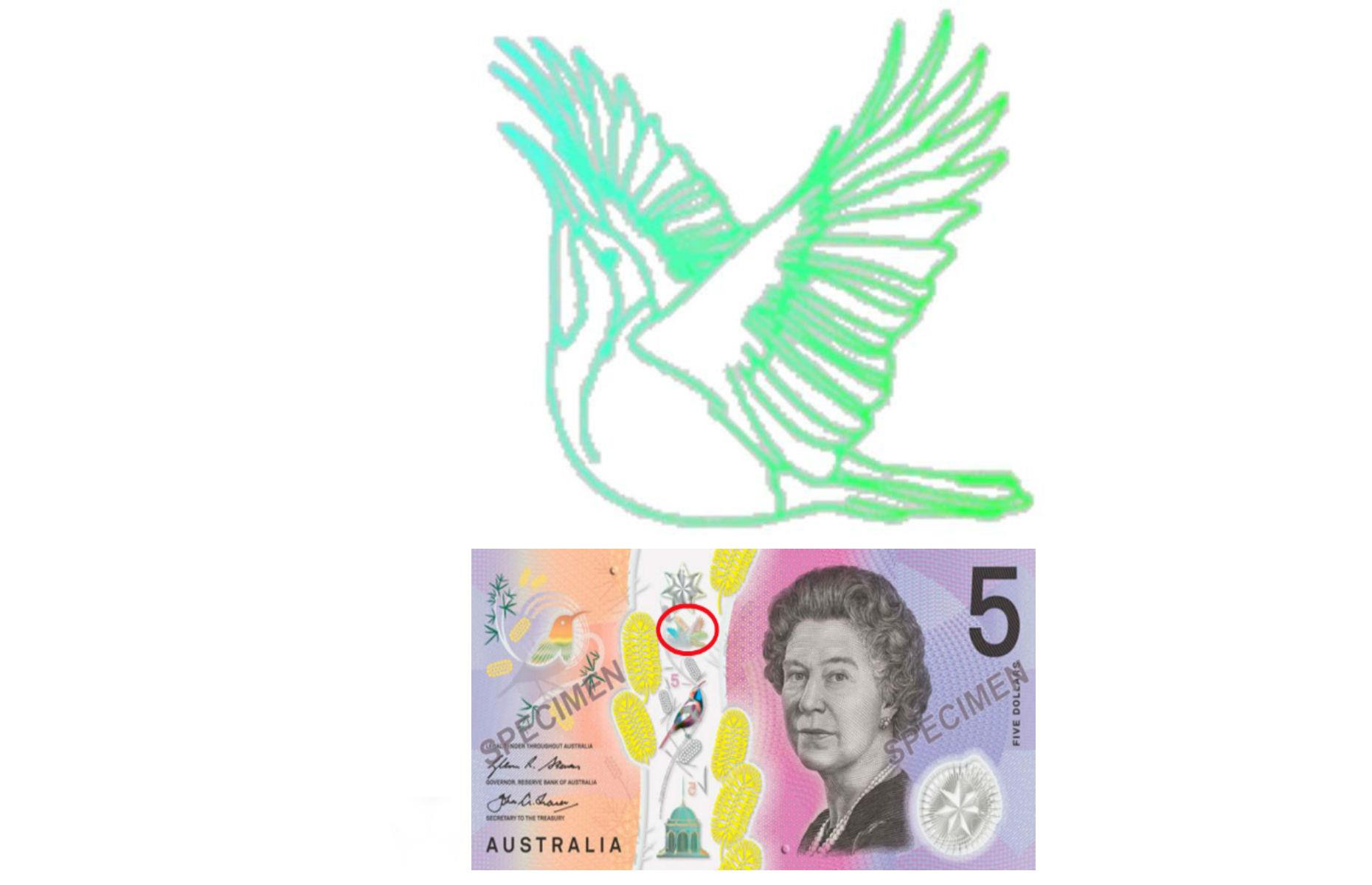 New Australian $5 note: flying bird 