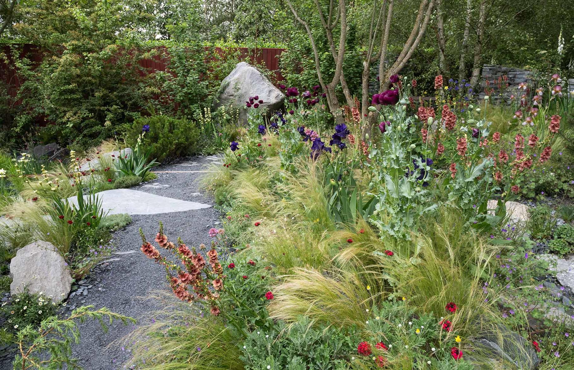 Rewilding for pollinators