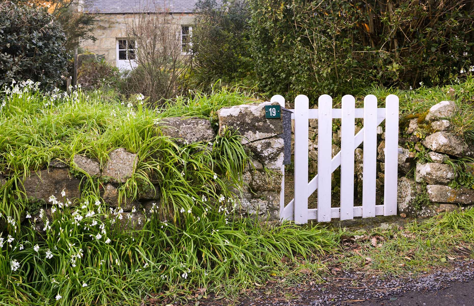 Three-cornered garlic: what can go wrong
