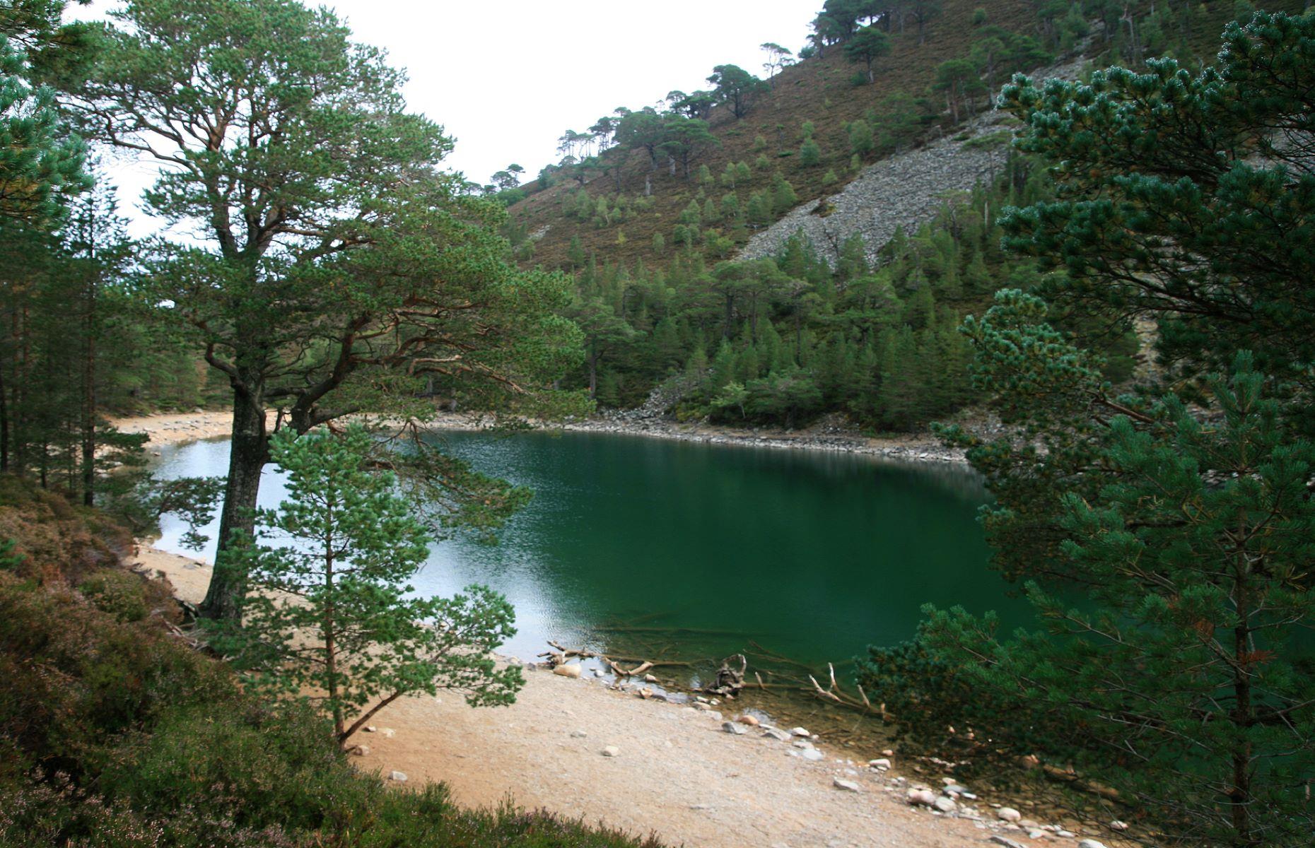An Lochan Uaine (The Green Loch), Aviemore, Scotland