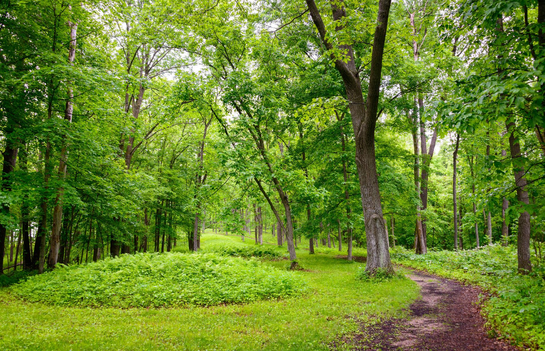 Iowa: Effigy Mounds National Monument, Harpers Ferry
