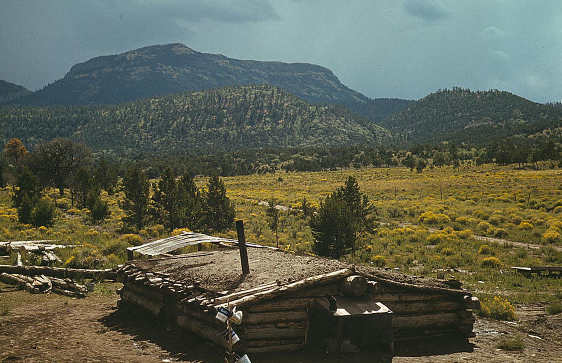 A dugout homestead