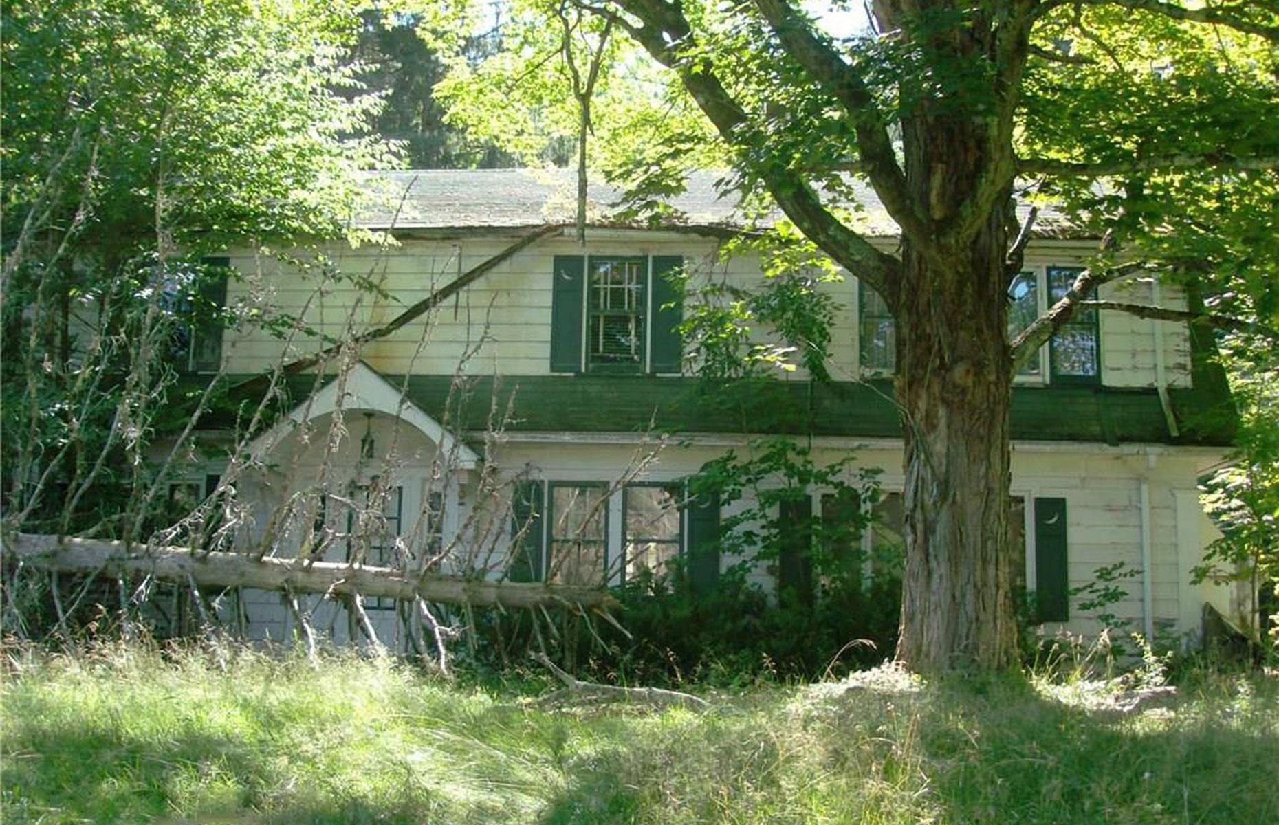 Reclaimed by nature 