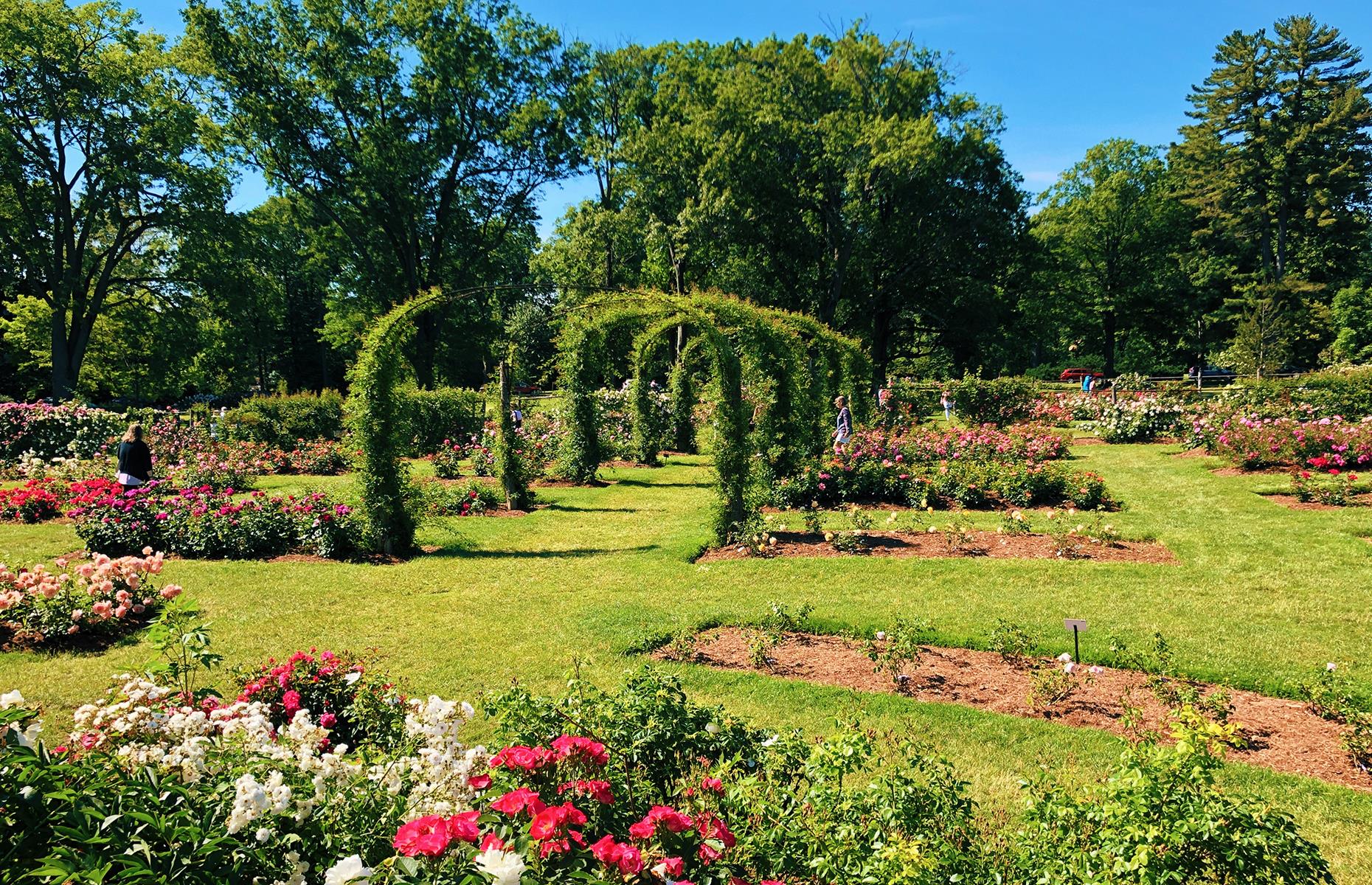 Connecticut: Elizabeth Park, Hartford