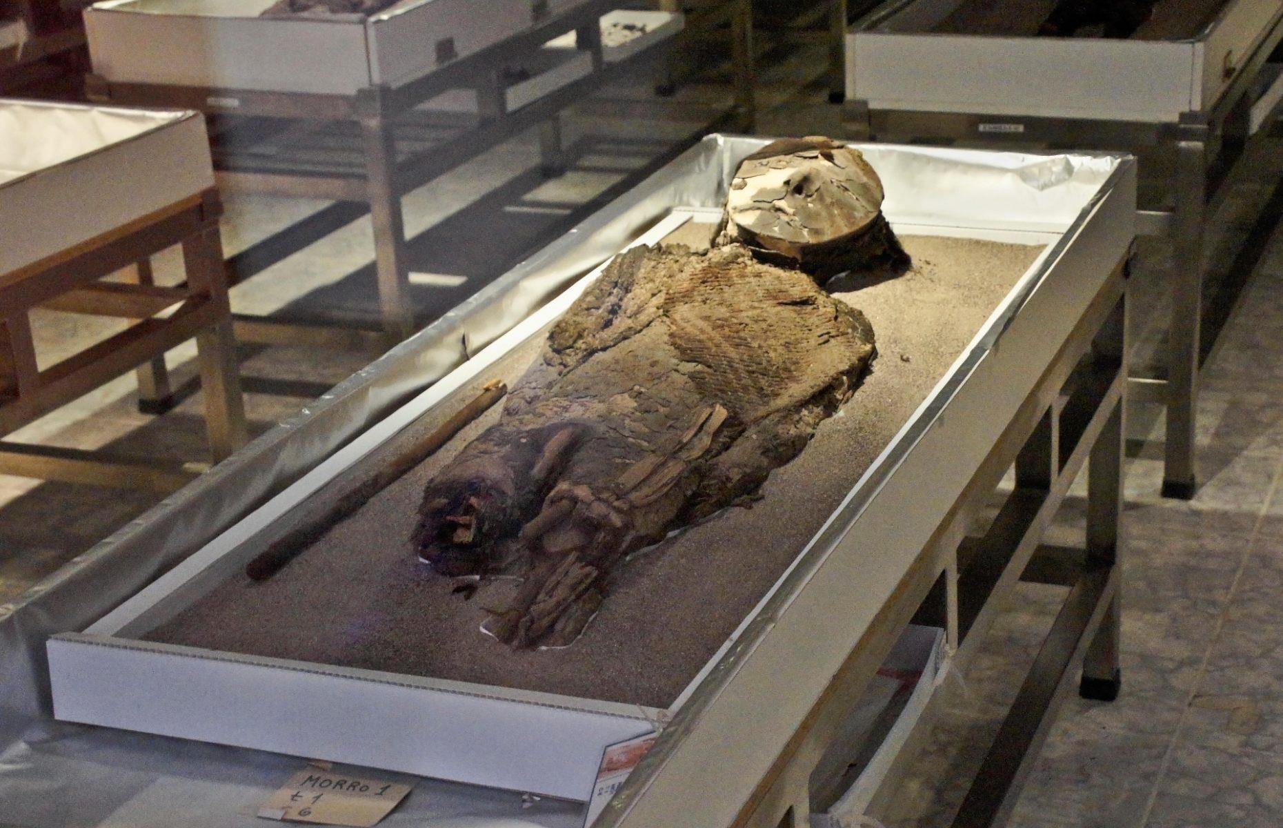 Settlement and Artificial Mummification of the Chinchorro Culture in the Arica and Parinacota Region, Chile