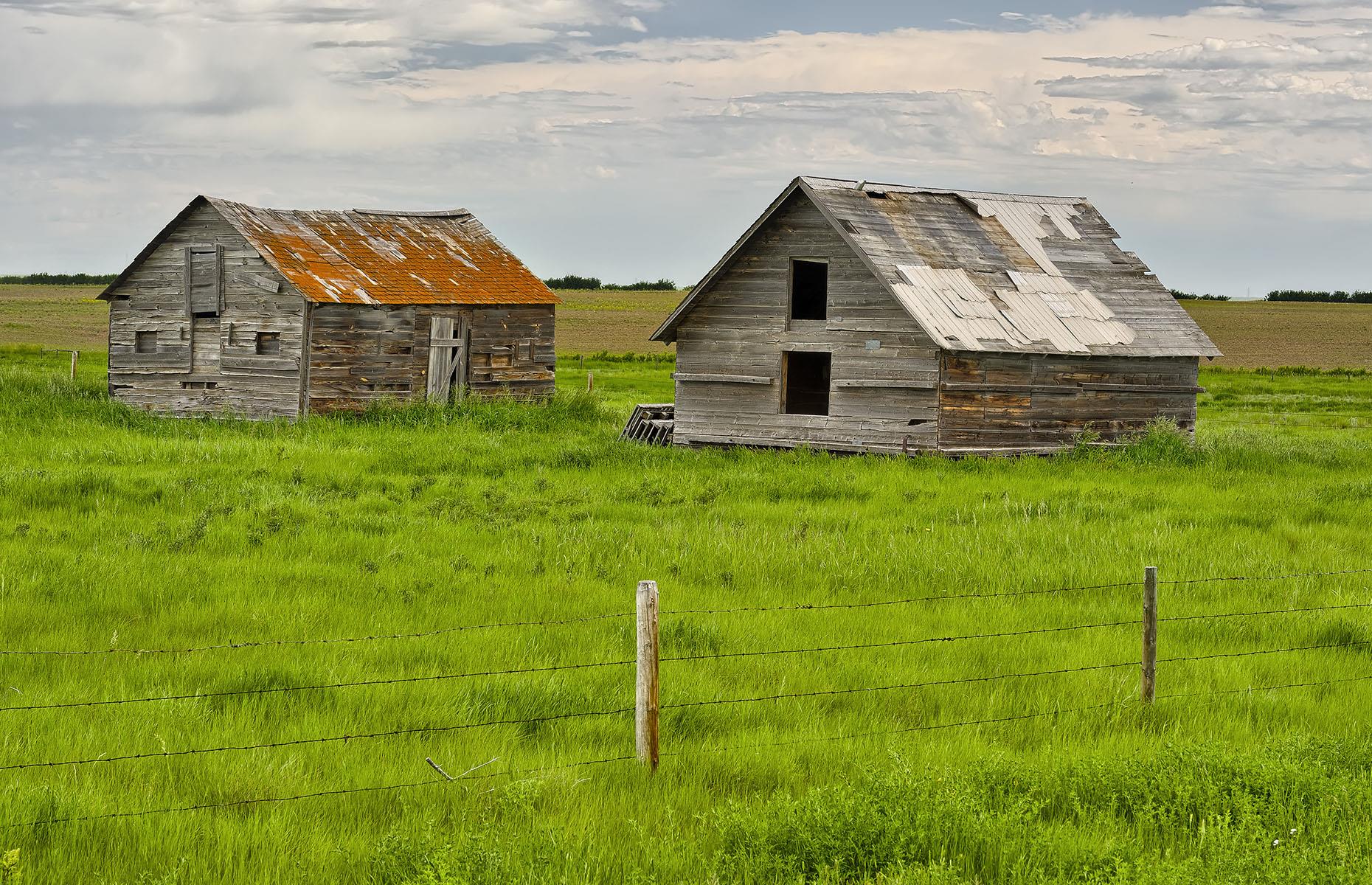 Dorothy, Alberta