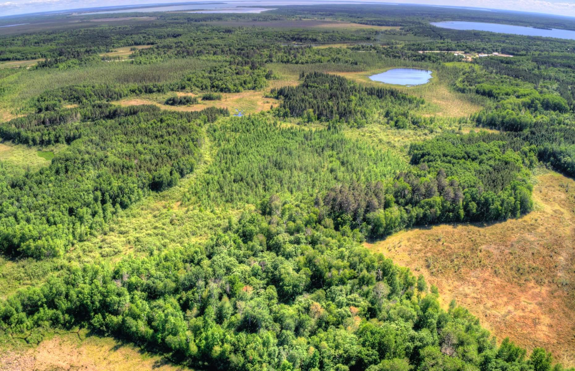 18. Chippewa National Forest, Minnesota