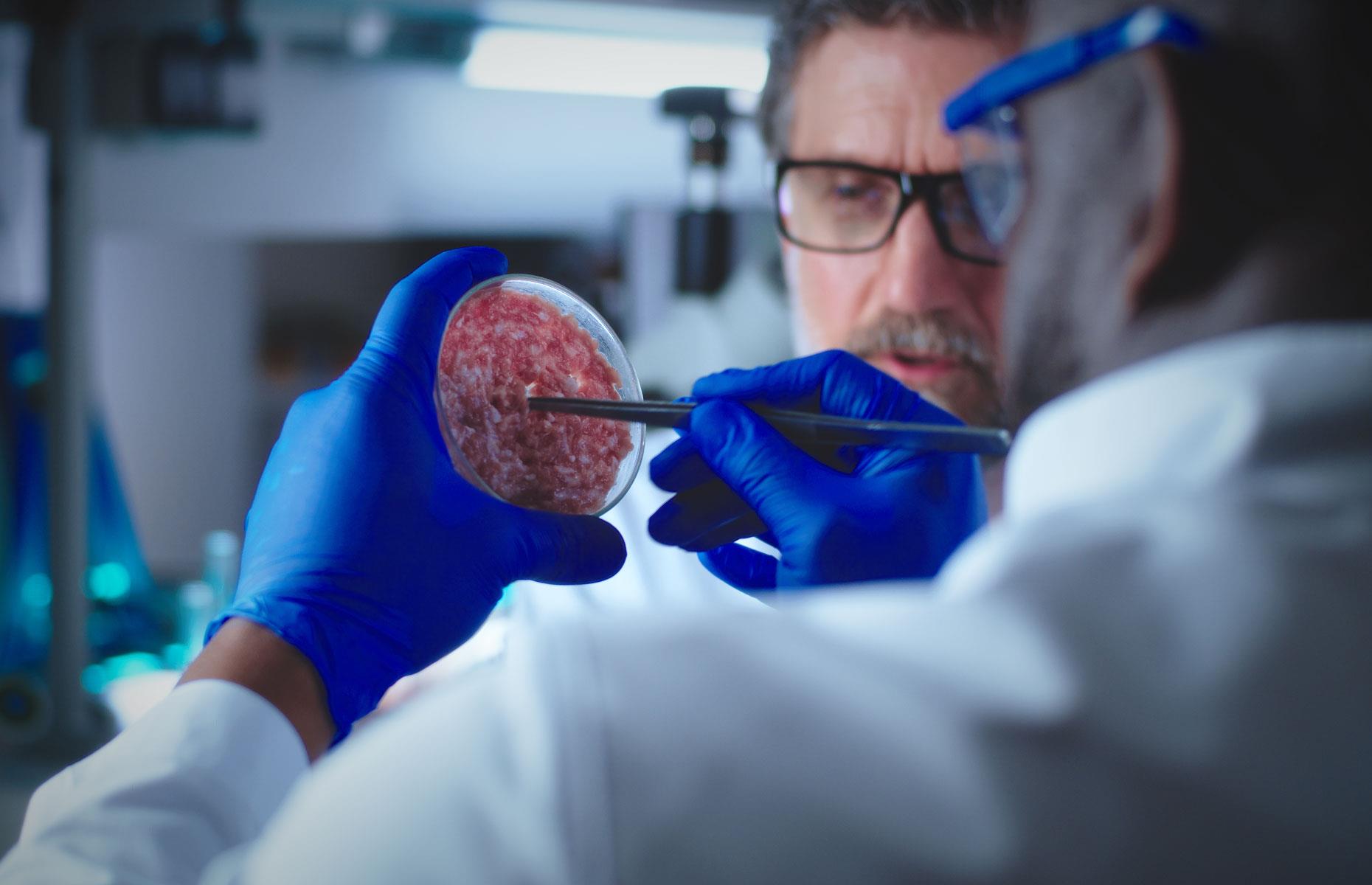 Lab-grown meat