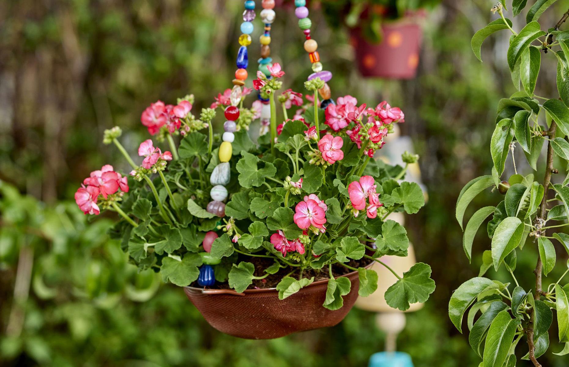 Colander hanging basket