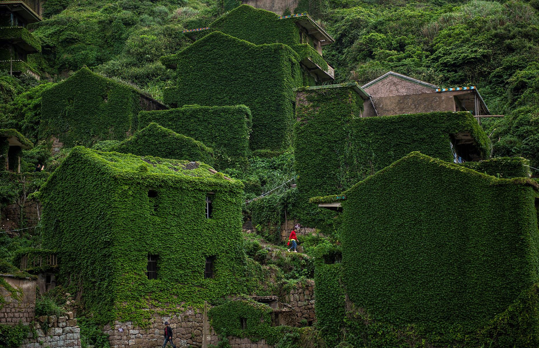 The overgrown village of Houtouwan, Shengshan Island, China 