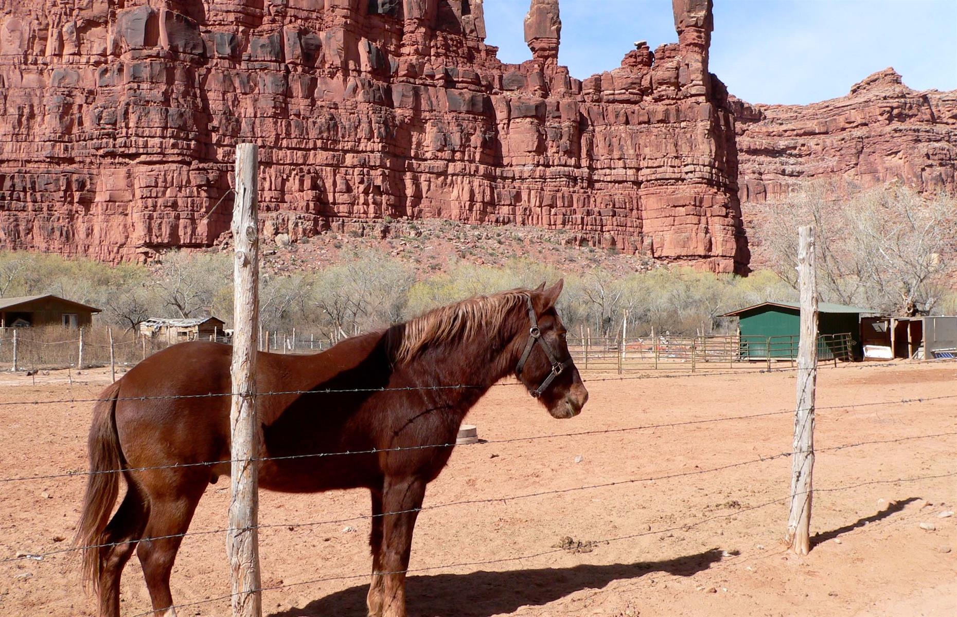 Supai, Arizona, USA