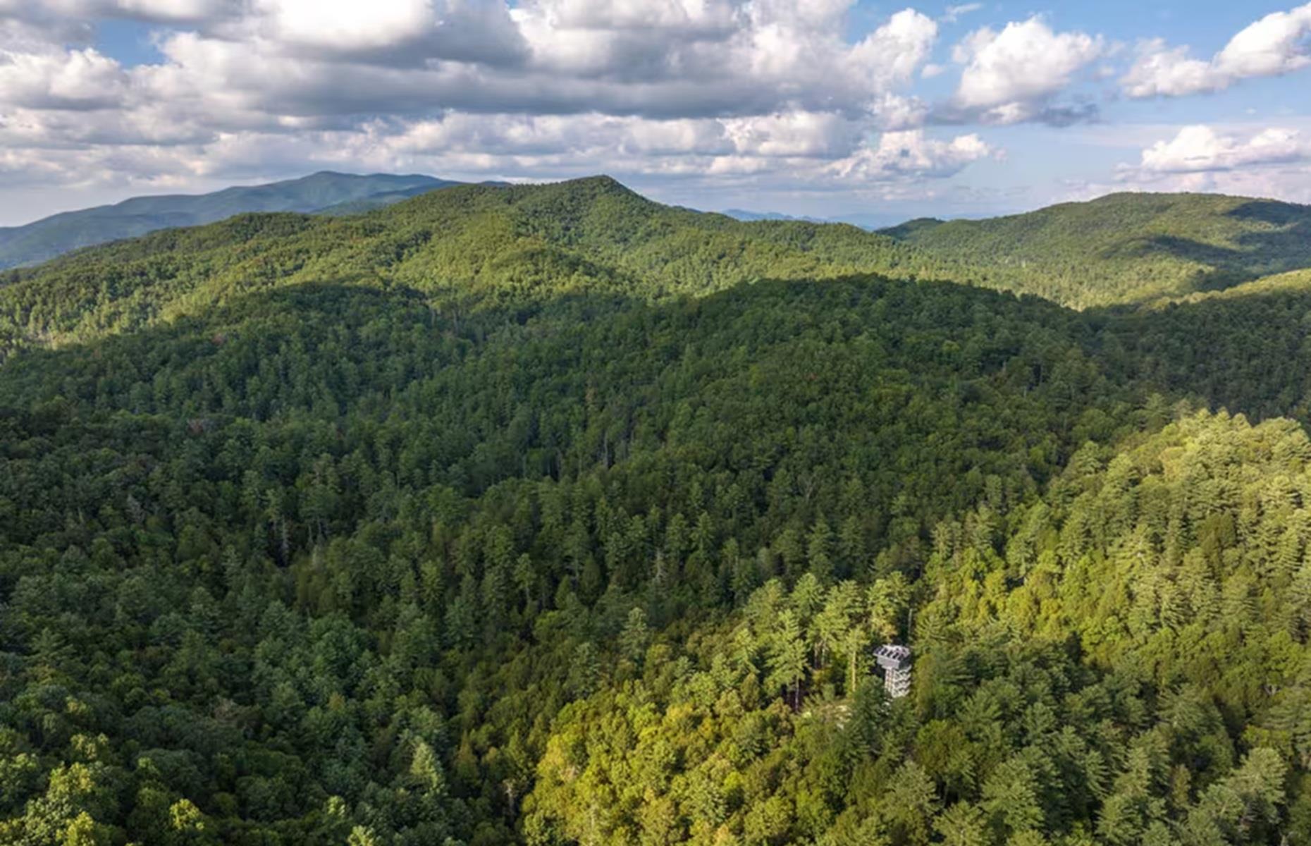 River Forest Lookout, Georgia, USA