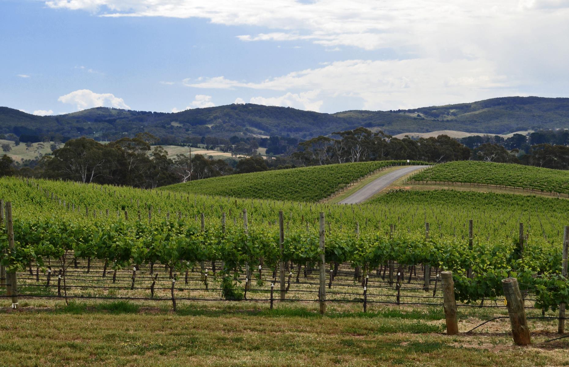 South Australia: Adelaide to the Clare Valley 