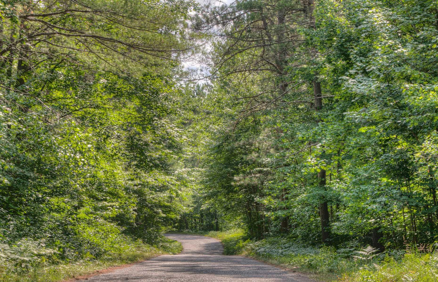 19. Chequamegon-Nicolet National Forest, Wisconsin