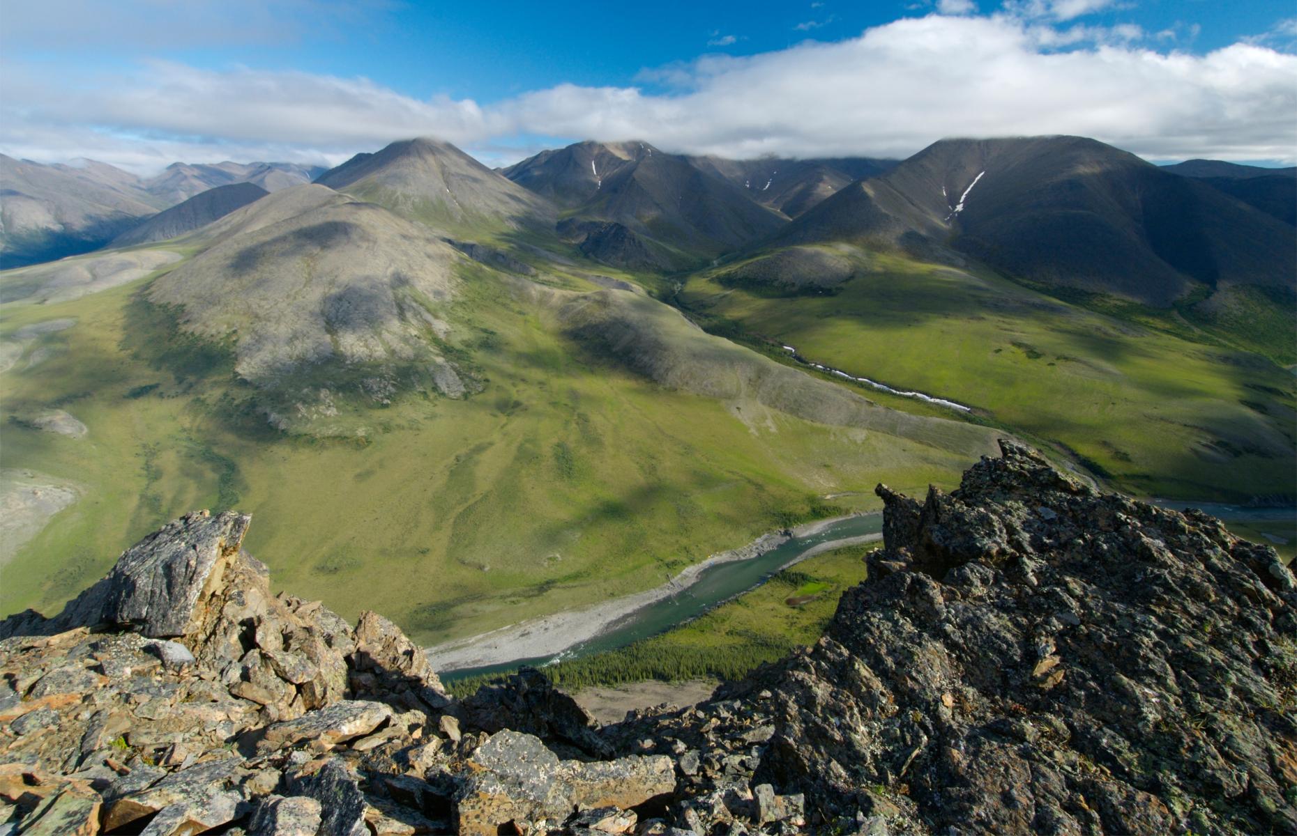 Witness a unique migration, Ivvavik National Park, Yukon Territory