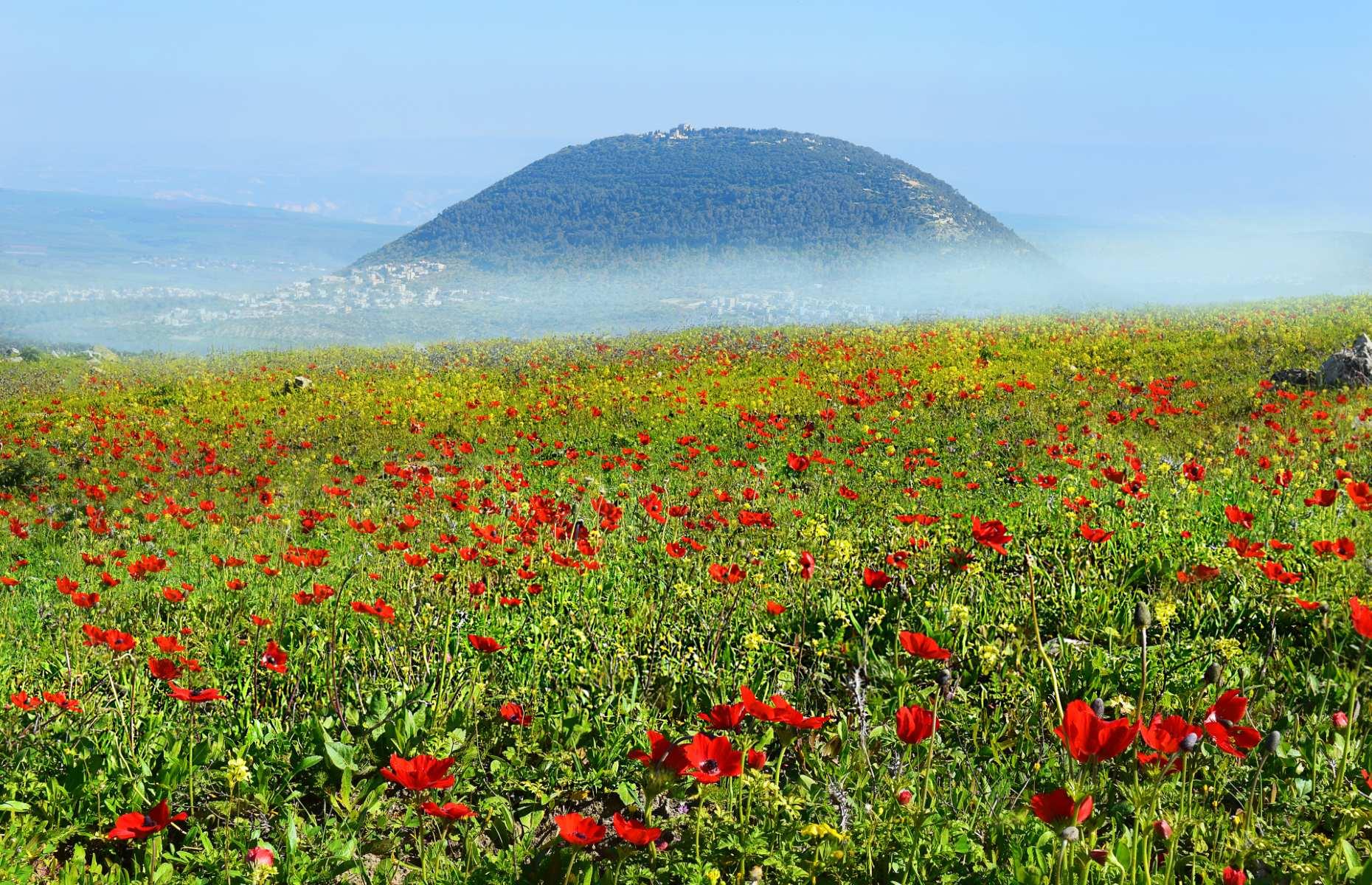 Mount Tabor