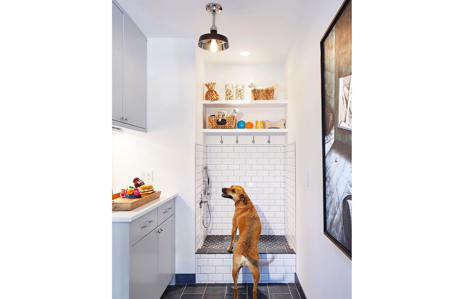 Create room for pets