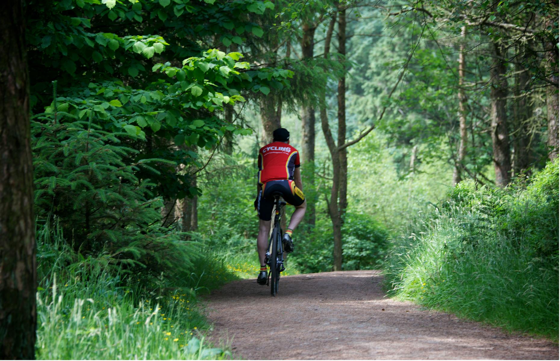 Forest of Bowland