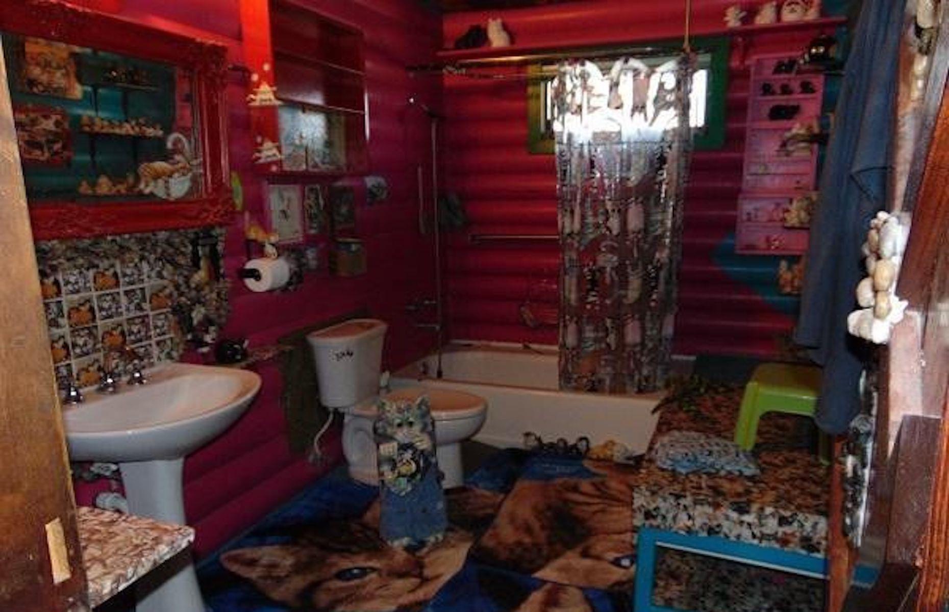 Cat-themed log home, Arizona, USA