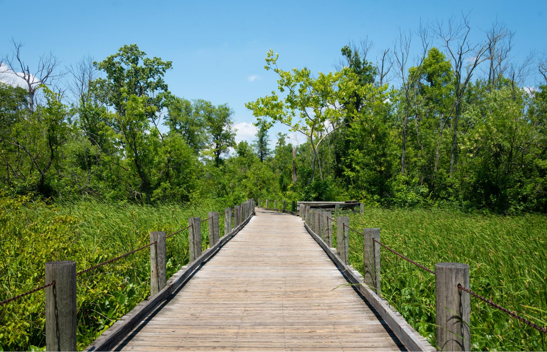 Potomac Heritage Trail