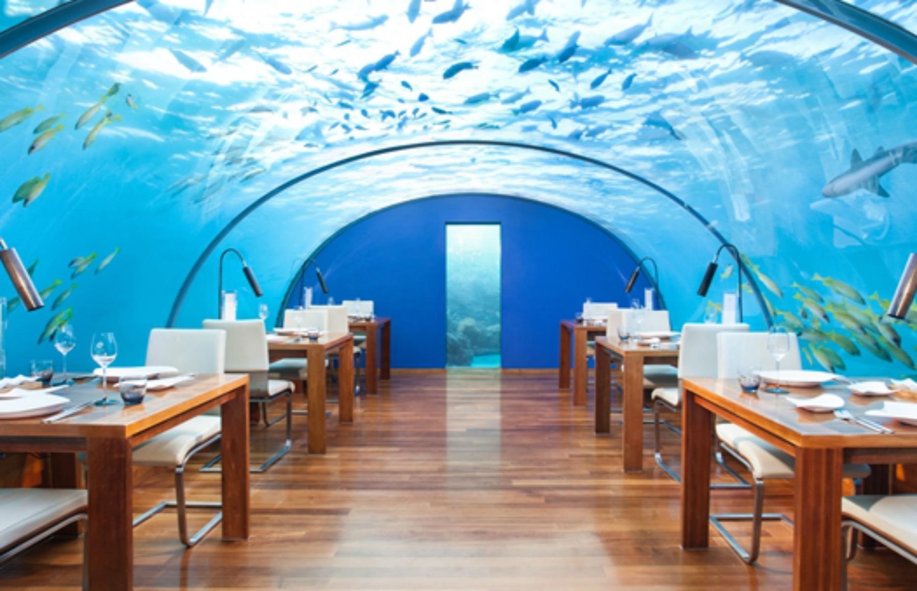Ithaa Undersea Restaurant: Rangali Island, Maldives
