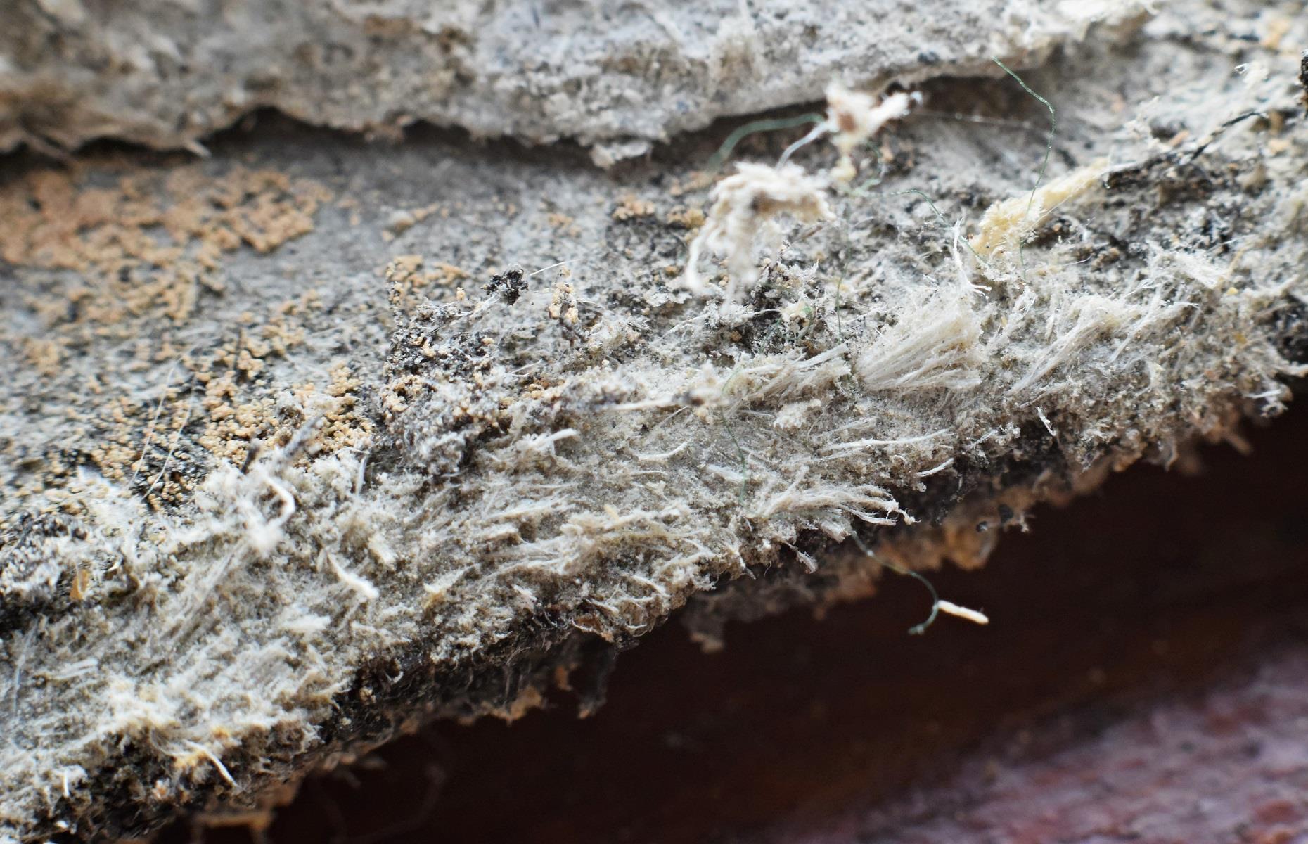 What you can't take to the tip: asbestos