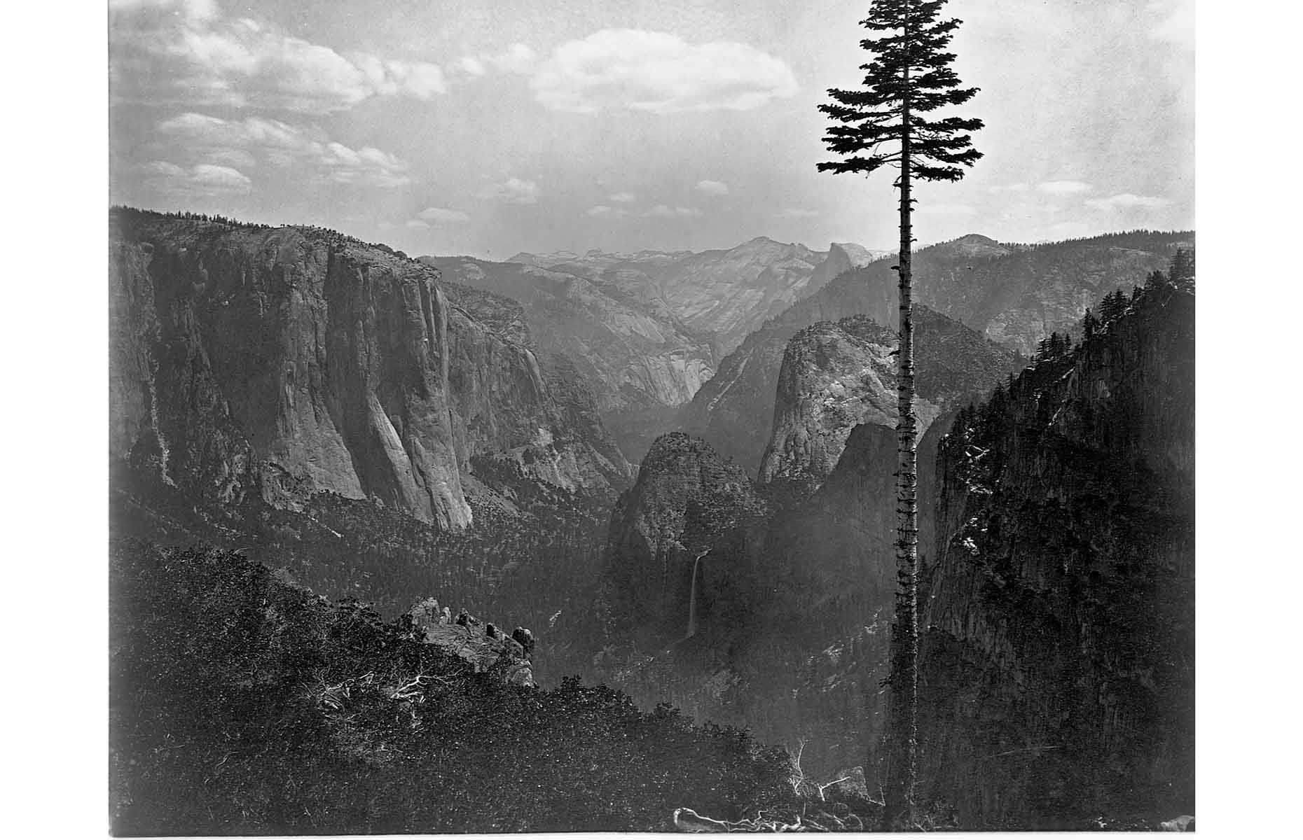 1865: Yosemite Valley