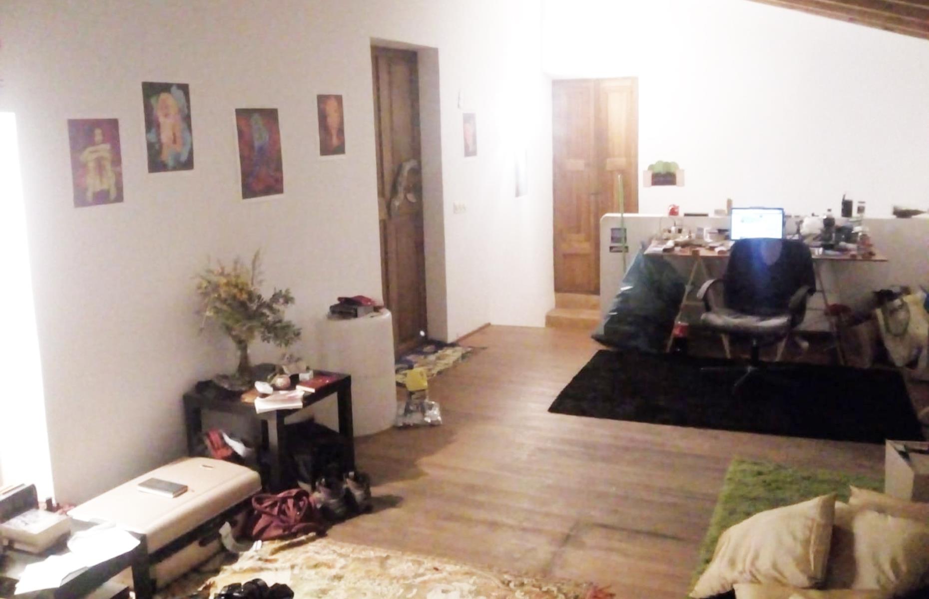 Finca im Chaos
