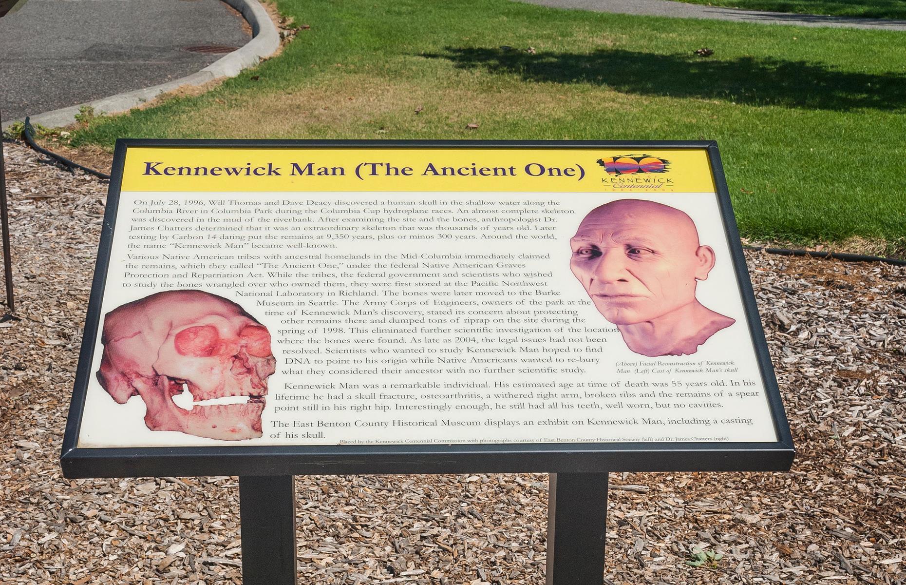 Kennewick Man, Washington