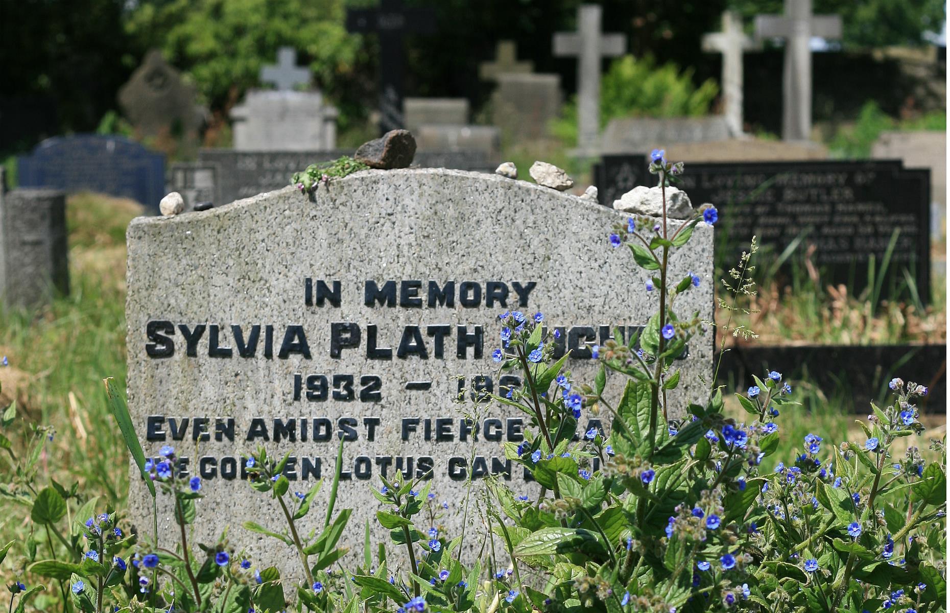 Sylvia Plath, Yorkshire, UK