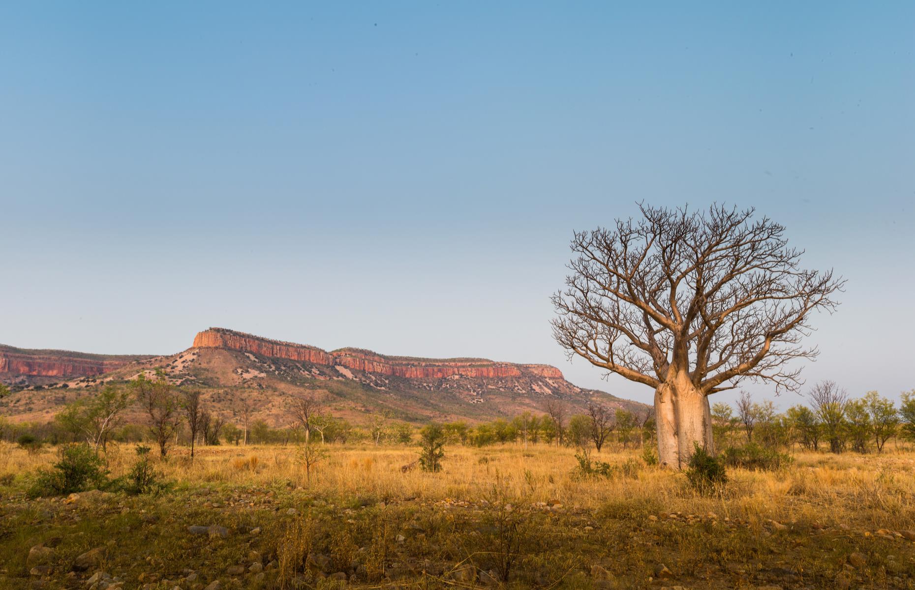 Western Australia: Derby to Kununurra
