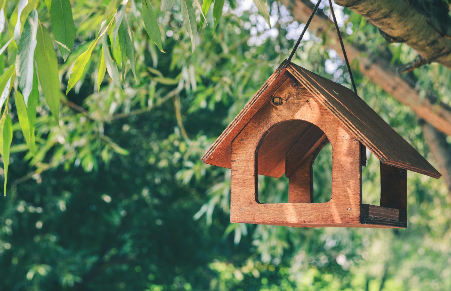 Add a rain guard on the feeder