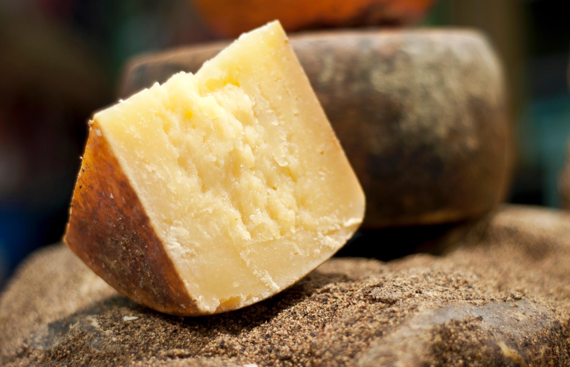 The cheese family: hard or grainy cheeses