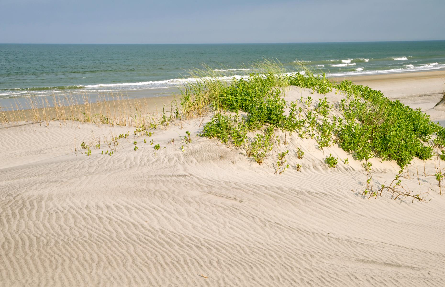 Cape Hatteras National Seashore, North Carolina