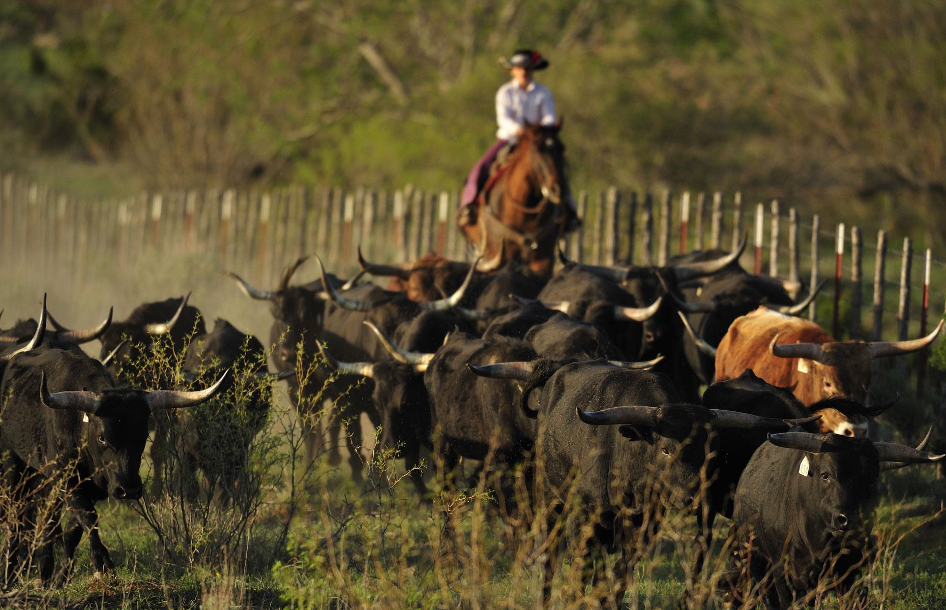 4. Texas: $29.9 billion