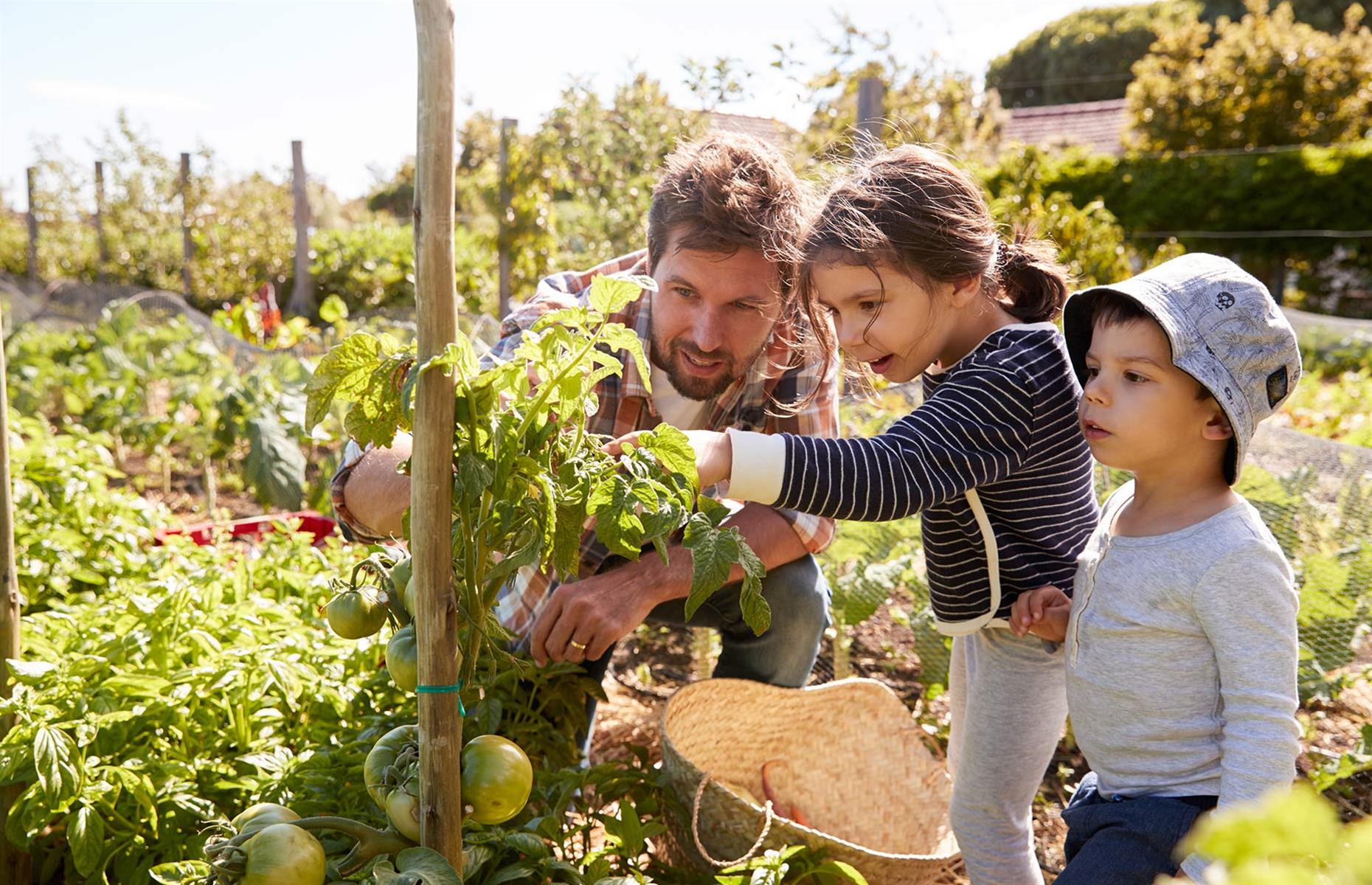 10. Hire your garden out as an allotment