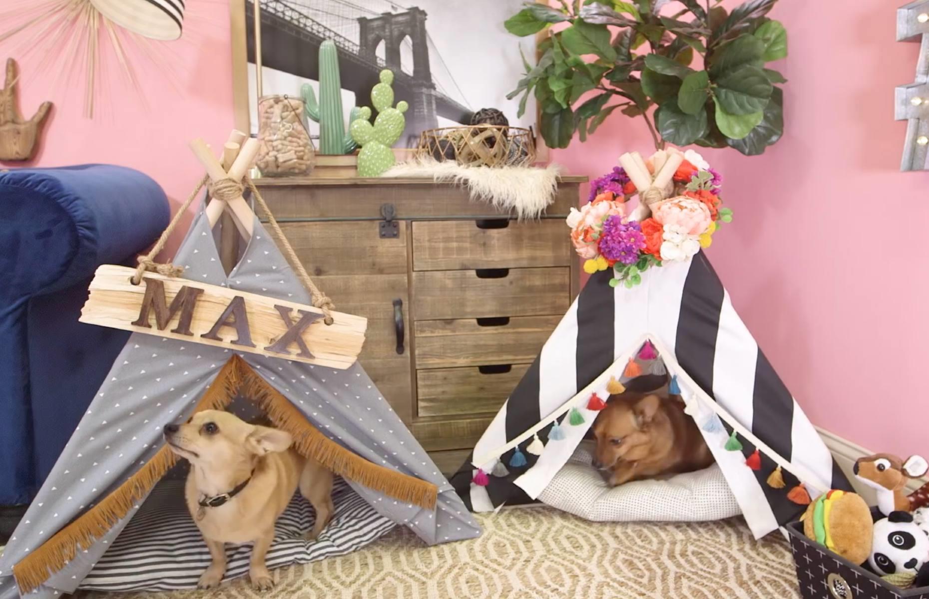 DIY doggy heaven