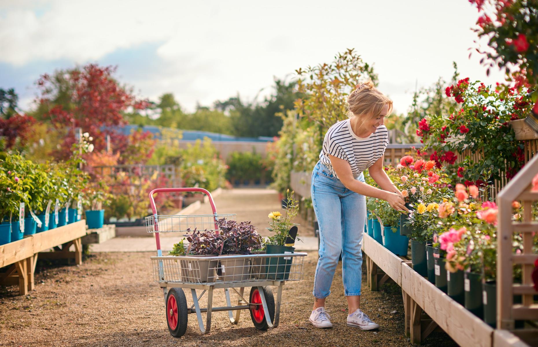 Raid the sale section at the garden centre