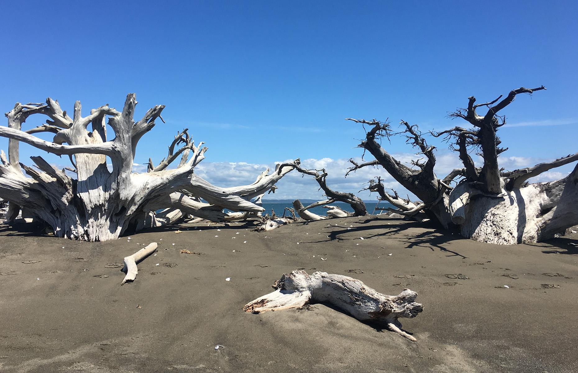 12. Ocean Shores, Grays Harbor County, Washington