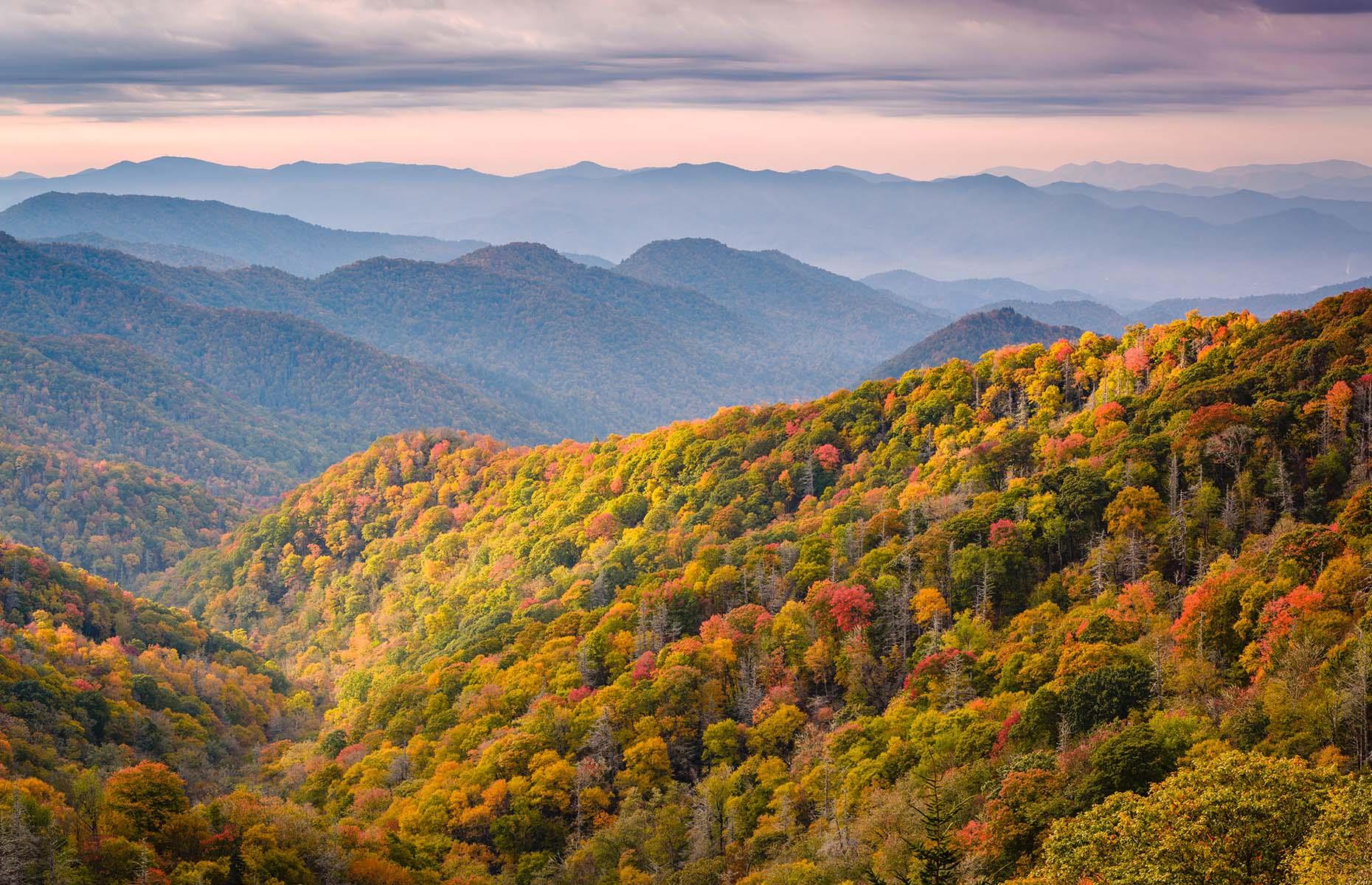 Le parc national américain le plus fréquenté