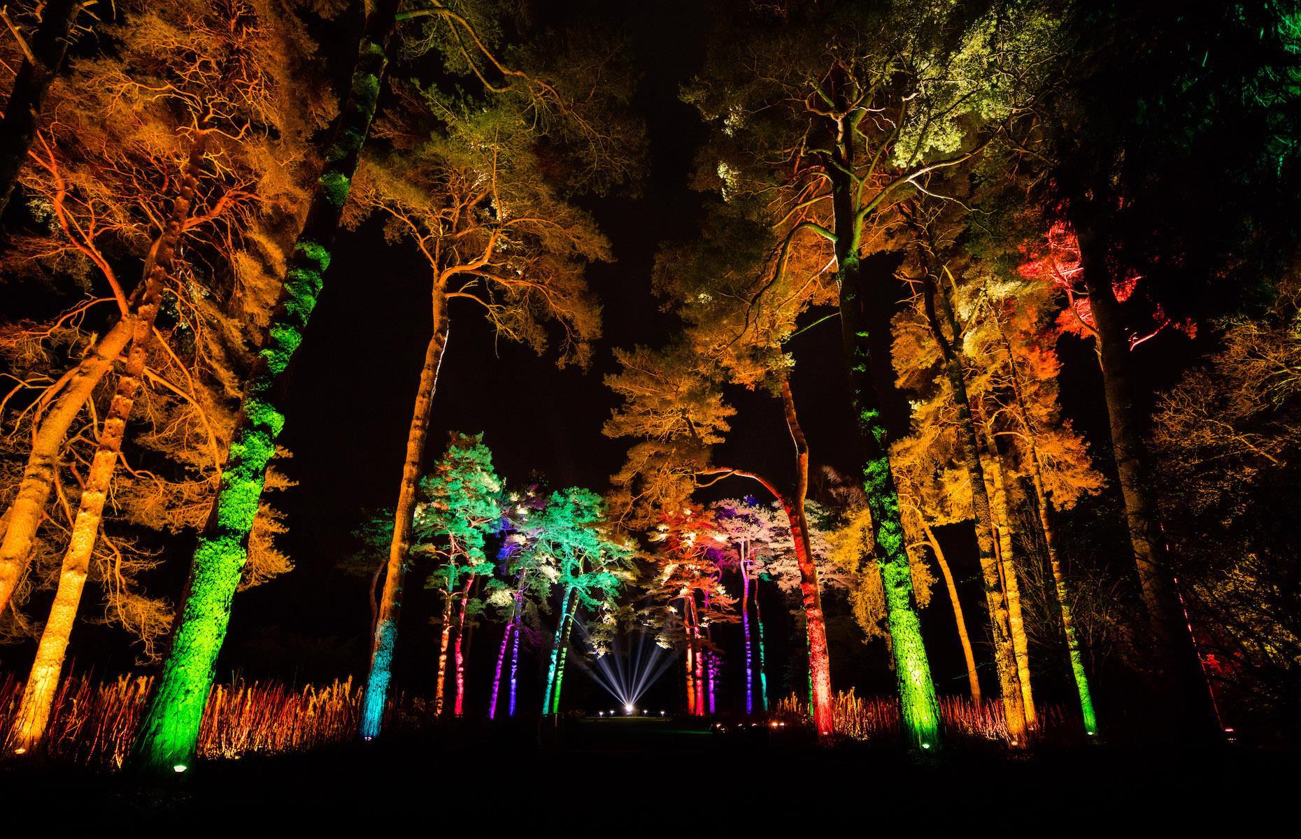 Enchanted Christmas, Westonbirt Arboretum, Gloucestershire