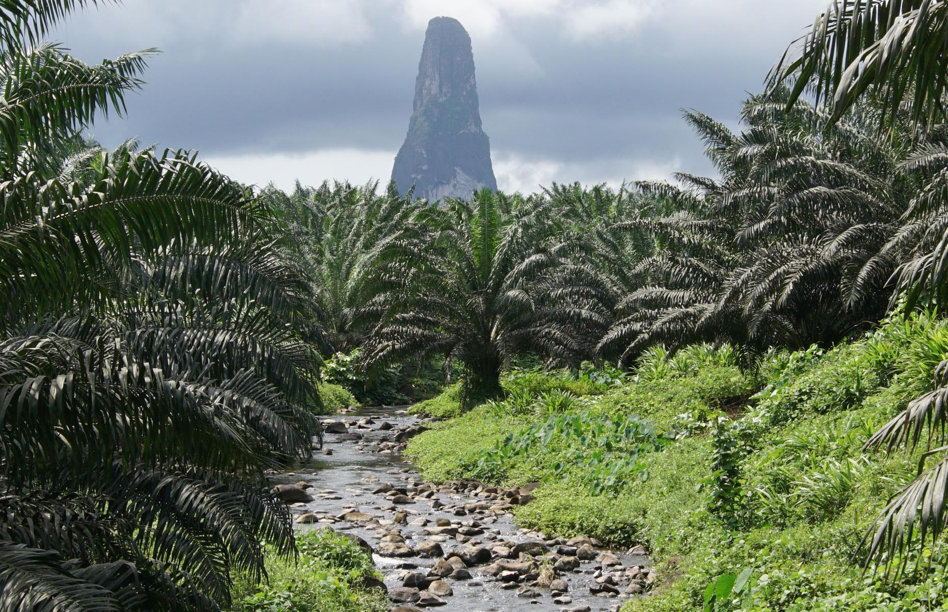 São Tomé & Príncipe: 29,000 visitors per year